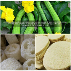 Natural Loofah Body Shower Scrubber 3pc Set Soft Exfoliating Sponge Bath Brush with Hook Towels Ideal Merchandise for Bathrooms
