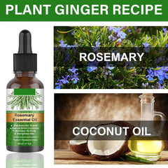 Rosemary Essentiall Oil Organic Hair Products Scalp Hair Strengthening Oil for Nourish Shiny Hair Care Products